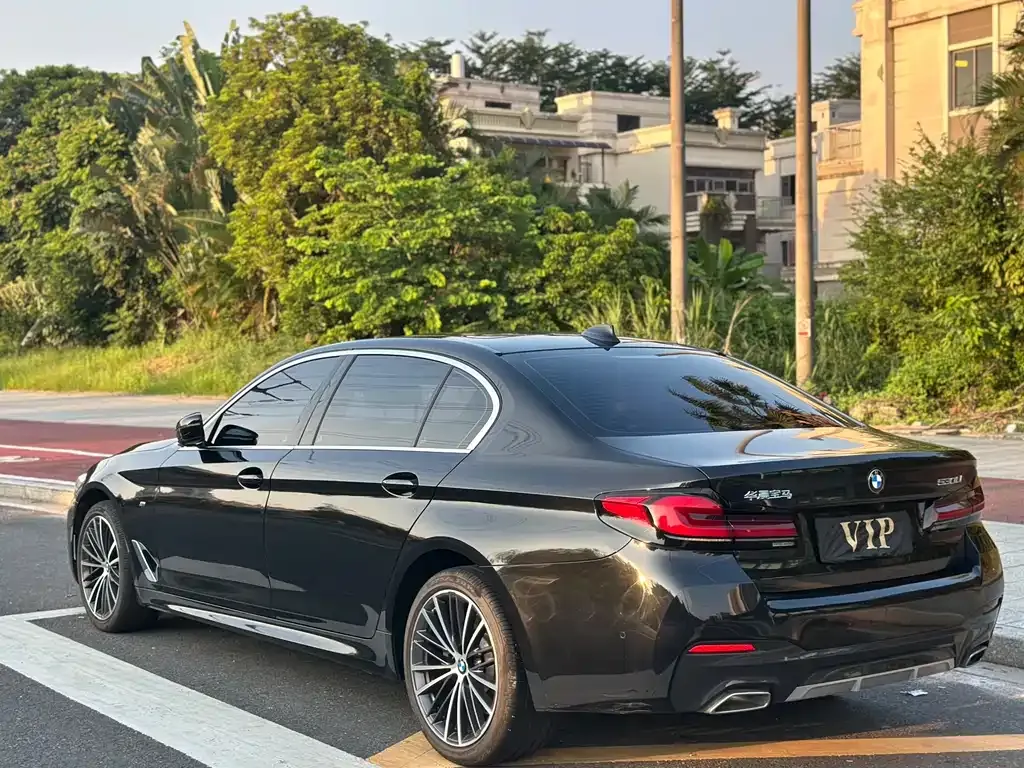 BMW 5 Series 2022 из CN, фото 6