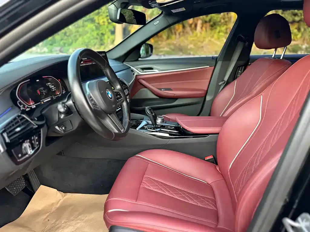 BMW 5 Series 2022 из CN, фото 7