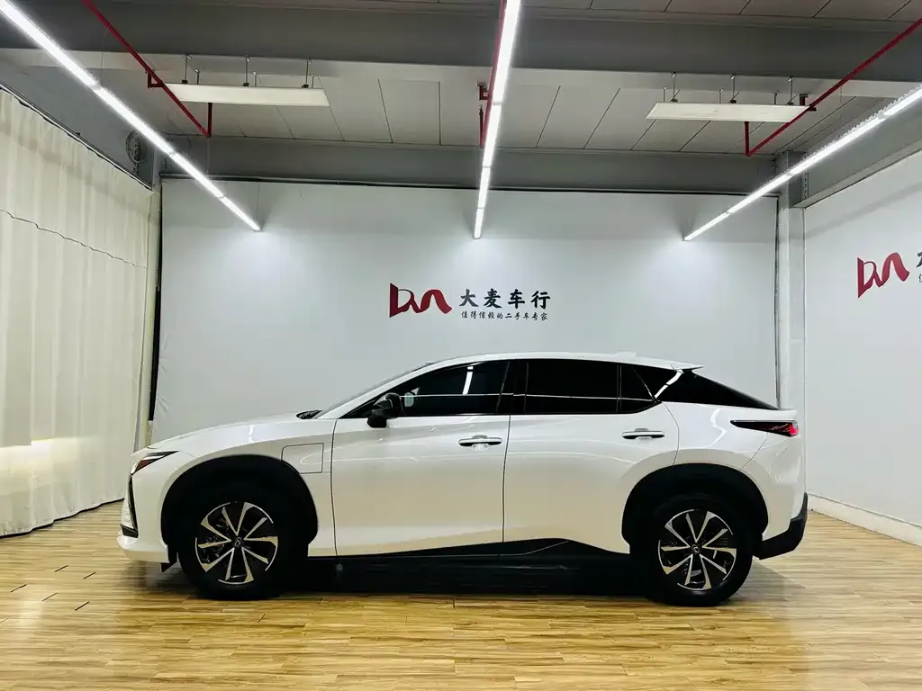Lexus RZ — фото 7
