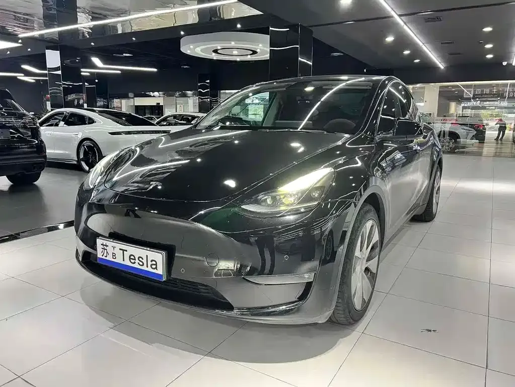 Tesla Model Y 2021 из CN, фото 1