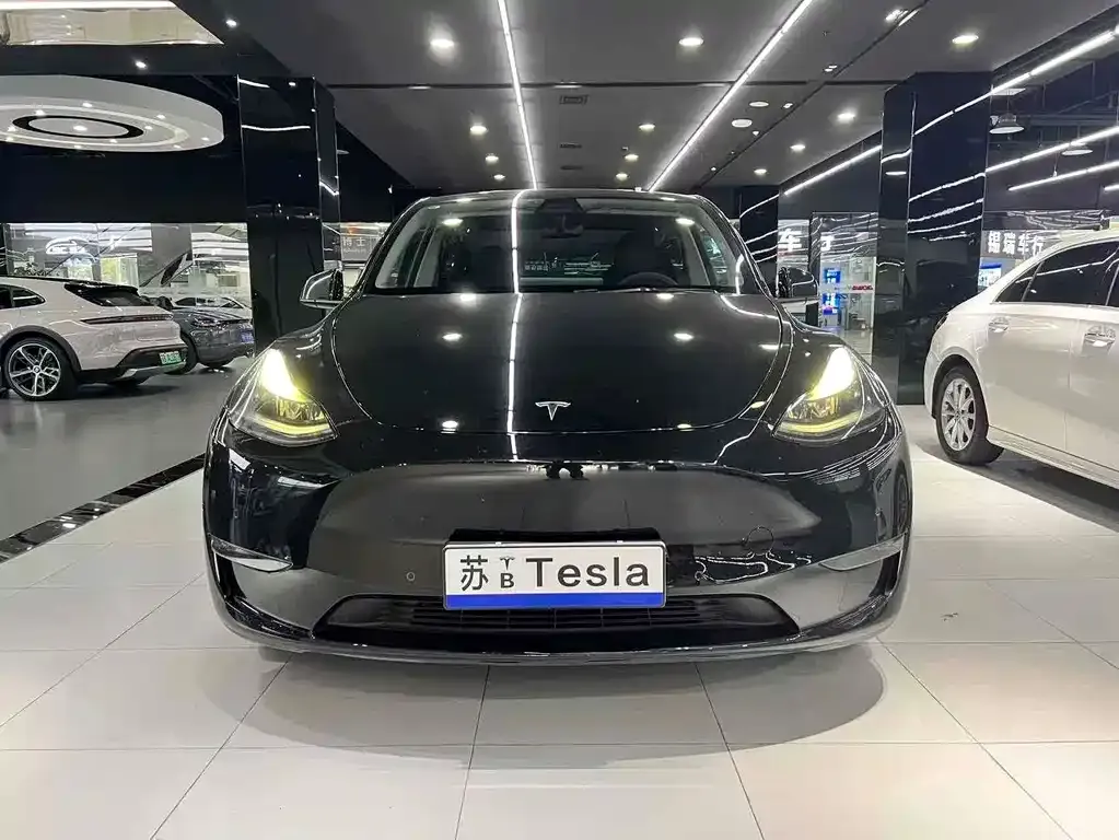 Tesla Model Y 2021 из CN, фото 3