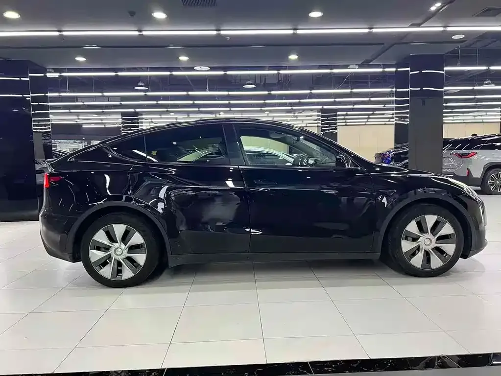 Tesla Model Y 2021 из CN, фото 4