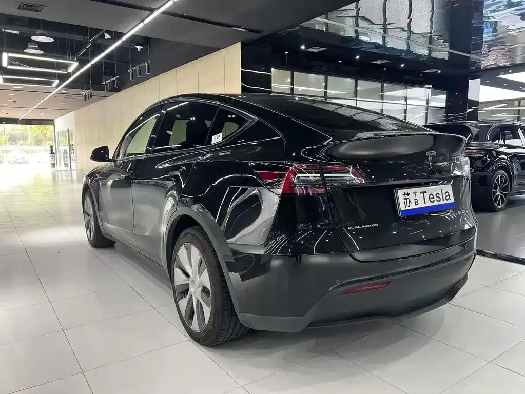 Tesla Model Y 2021 из CN, фото 5