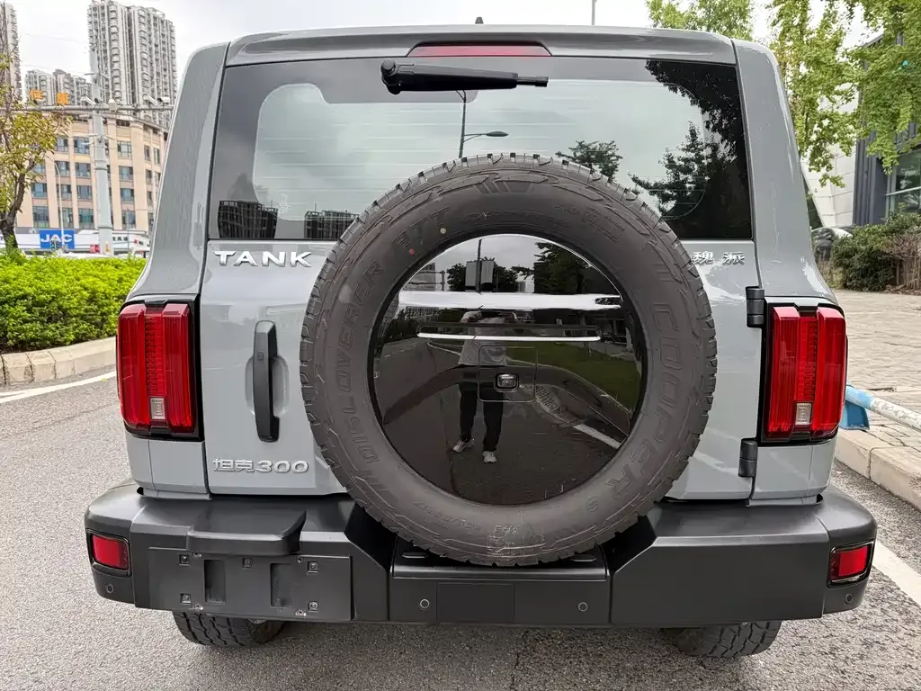 [object Object] Tank 300 2022 из CN, фото 5