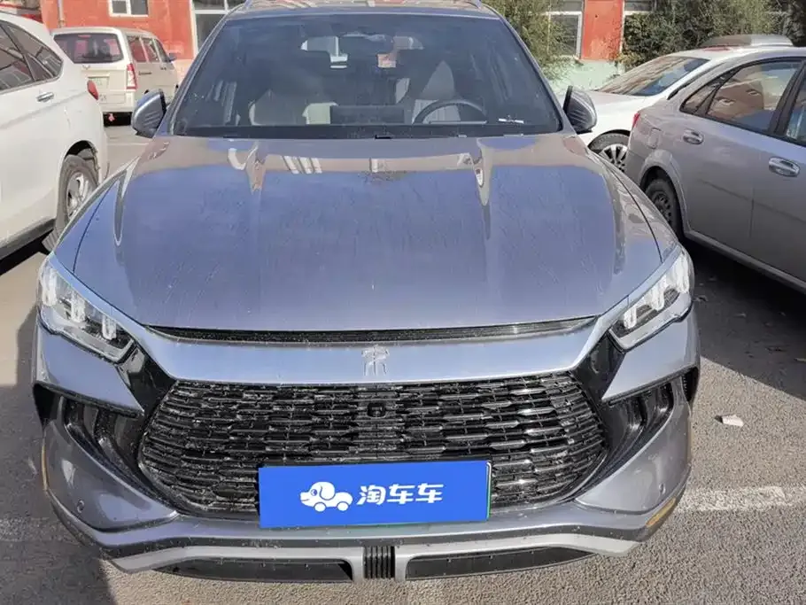 BYD Pro New Energy 2023 из CN, фото 2