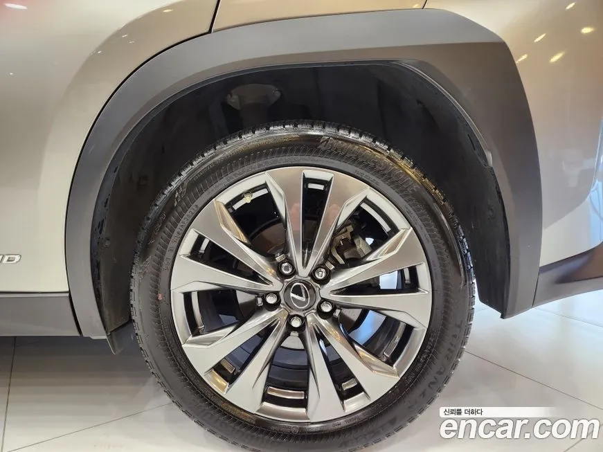 Lexus UX 2022 из KR, фото 6
