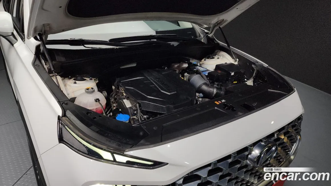 Hyundai Santafe 2021 из KR, фото 6