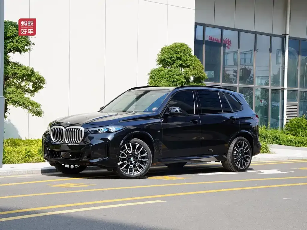 BMW X5 2024 из CN, фото 1