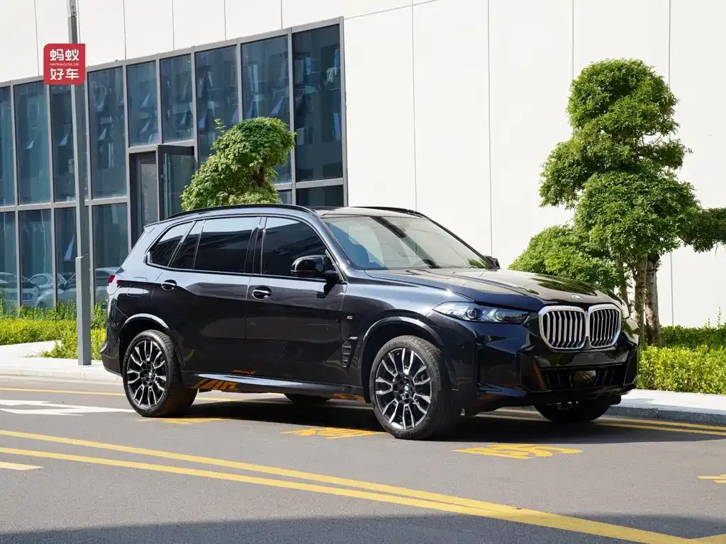 BMW X5 2024 из CN, фото 3