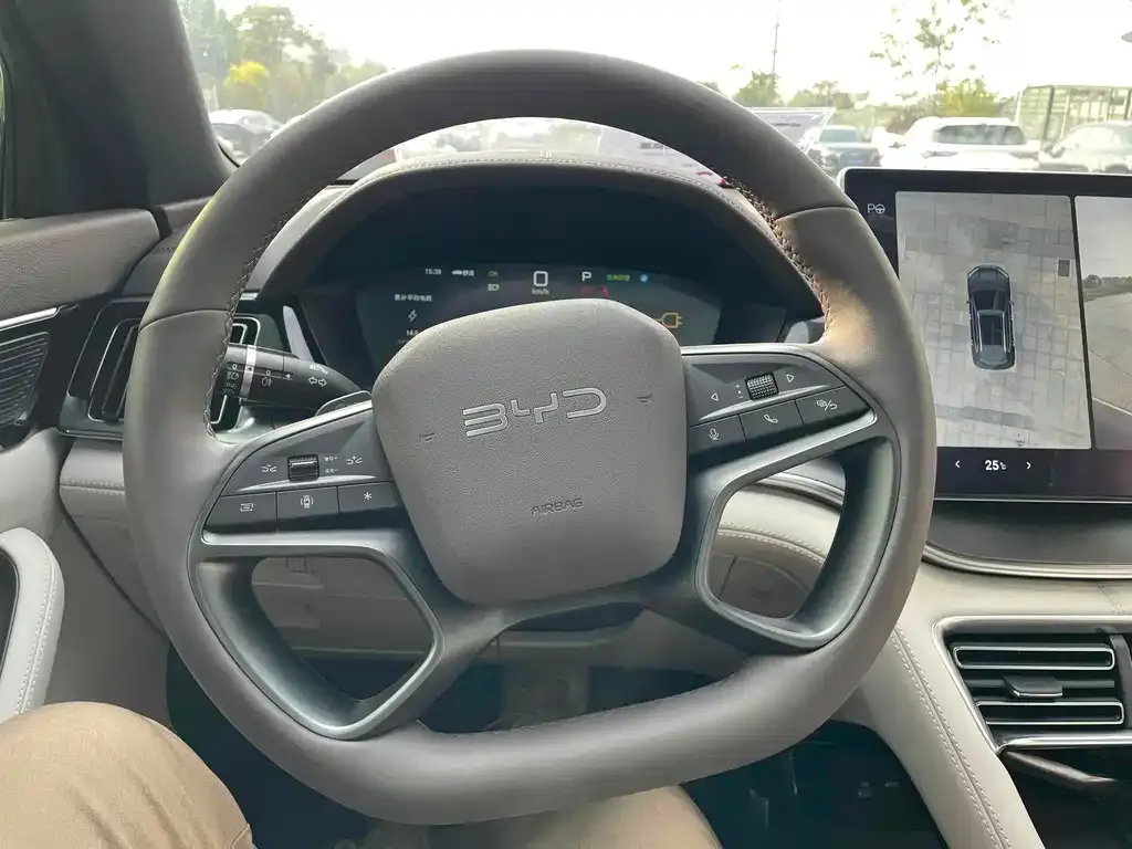 BYD PLUS New Energy 2025 из CN, фото 10