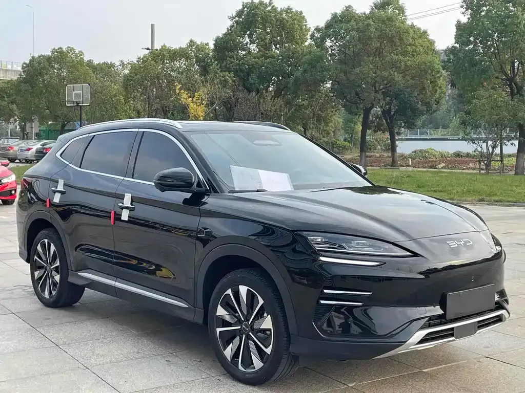 BYD PLUS New Energy 2025 из CN, фото 3