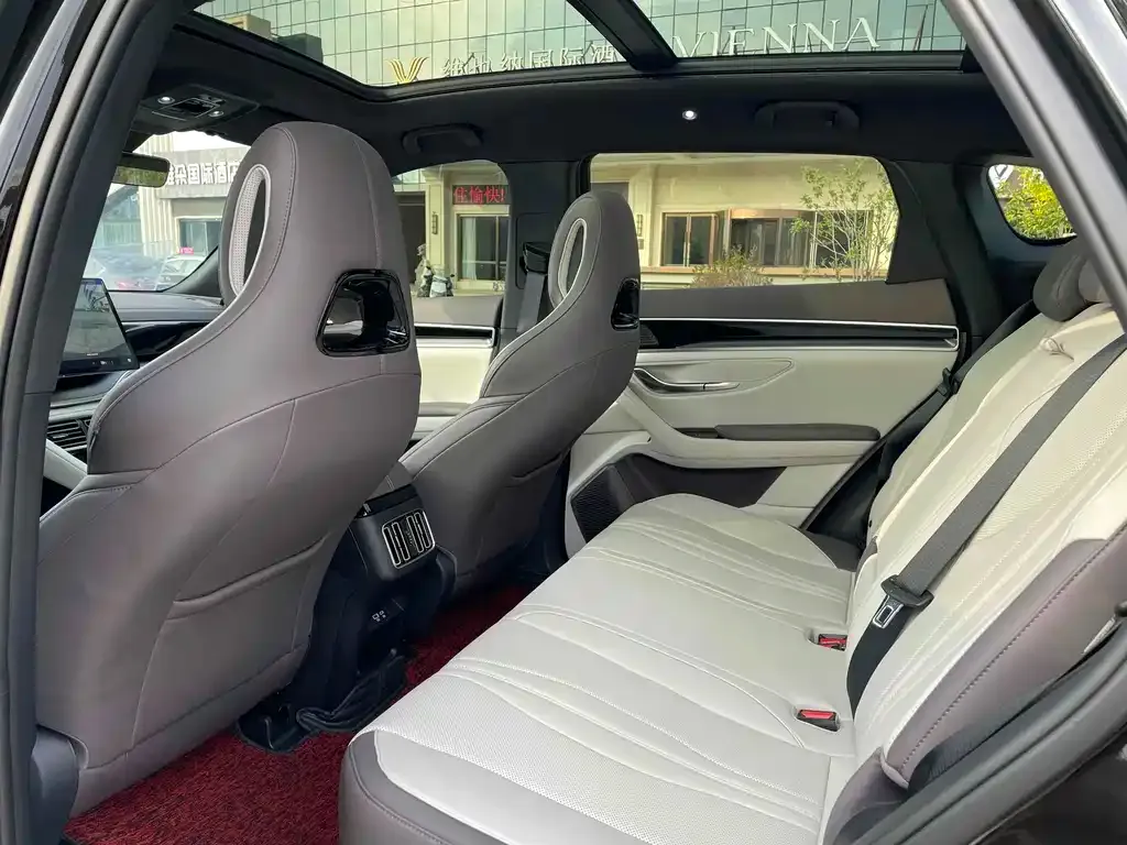 BYD PLUS New Energy 2025 из CN, фото 7