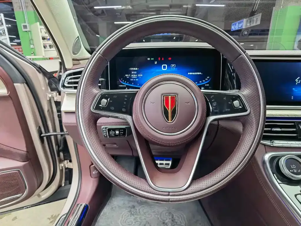 Hongqi H9 2021 из CN, фото 10