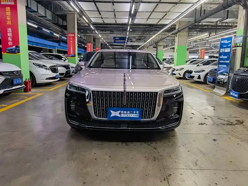 Hongqi H9 2021 из CN, фото 2
