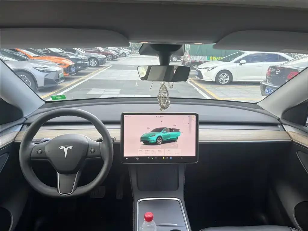 Tesla Model Y — фото 9