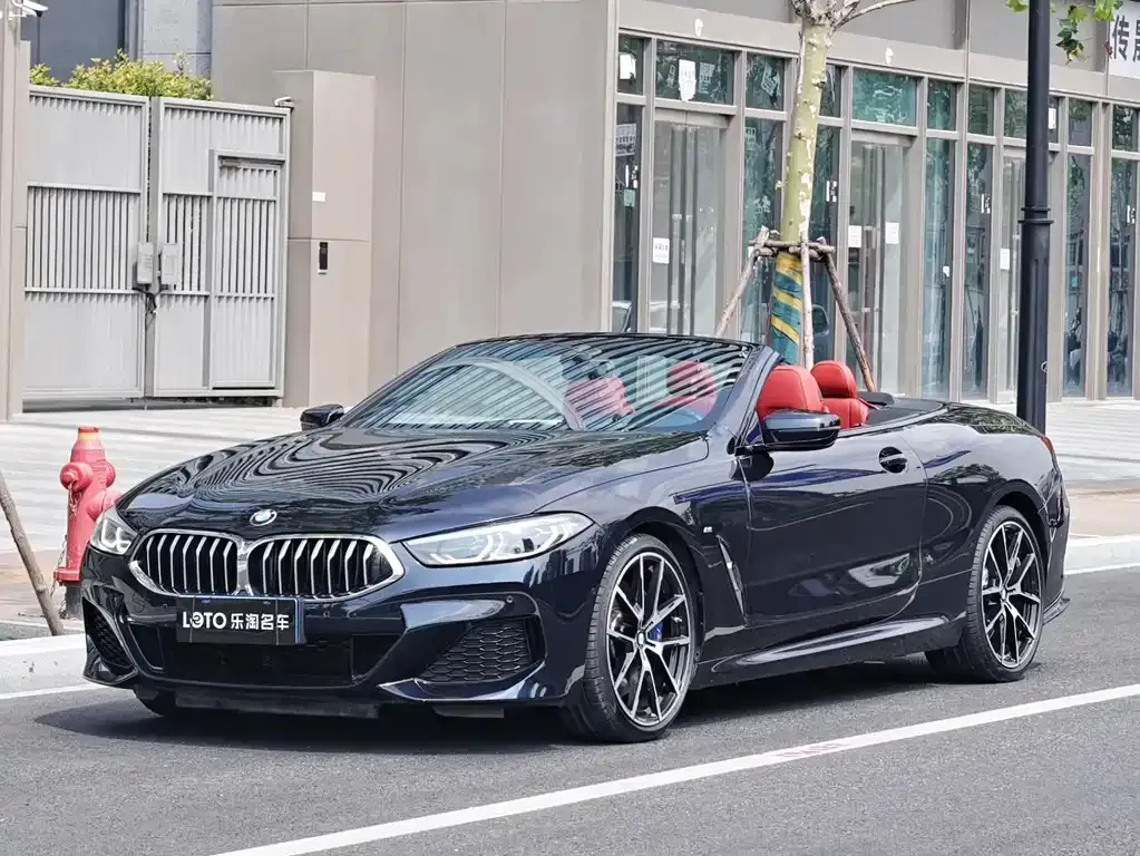 BMW 8 Series 2021 из CN, фото 1
