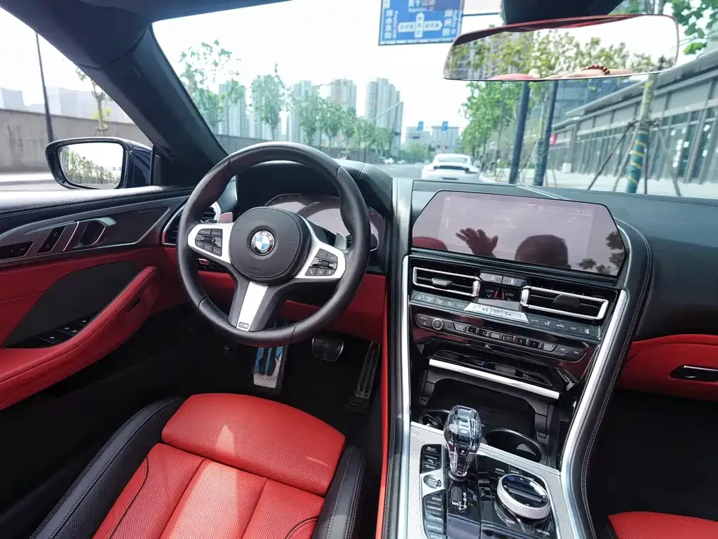 BMW 8 Series 2021 из CN, фото 10