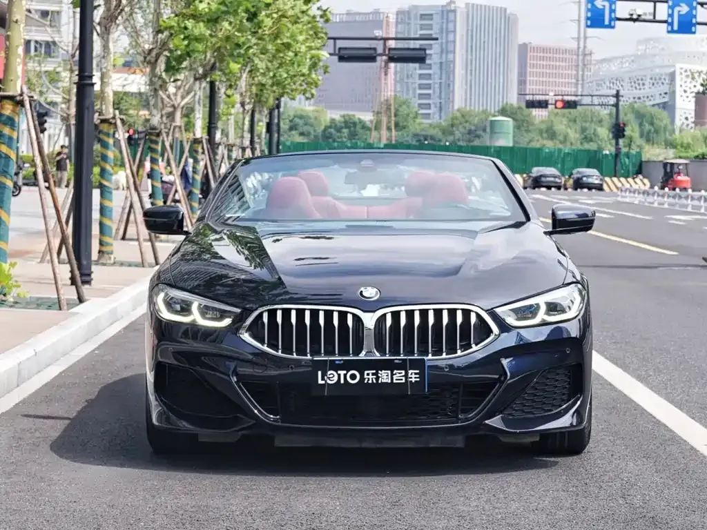 BMW 8 Series 2021 из CN, фото 2