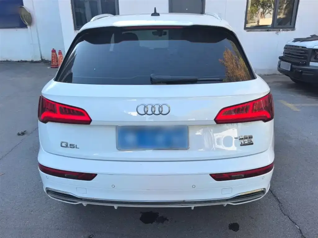 Audi Q5L 2021 из CN, фото 6
