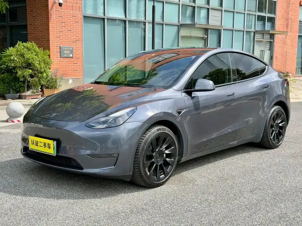 Tesla Model Y 2021 из CN, фото 1