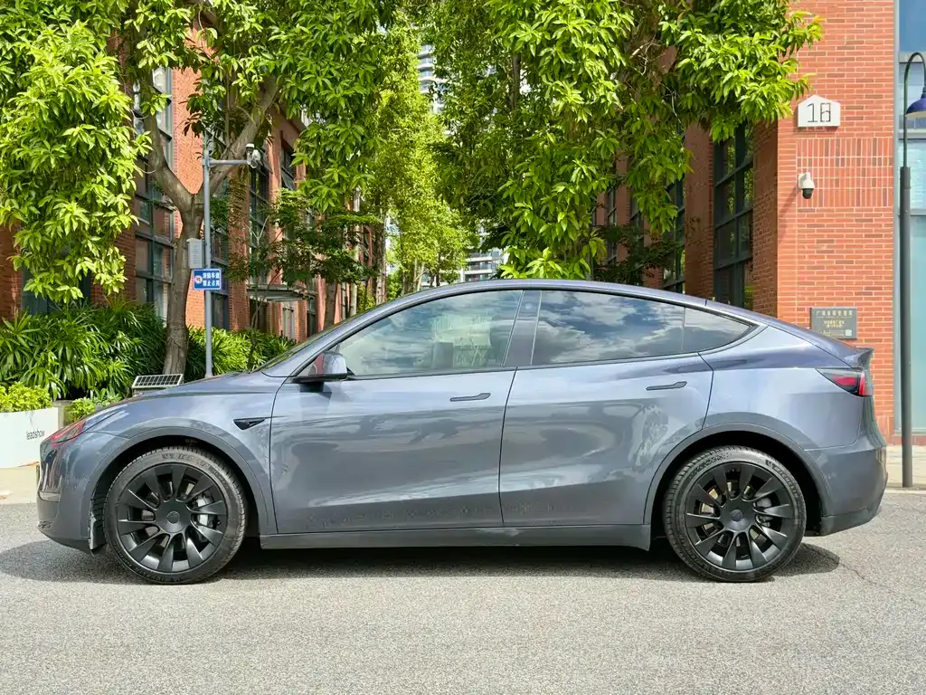 Tesla Model Y 2021 из CN, фото 2