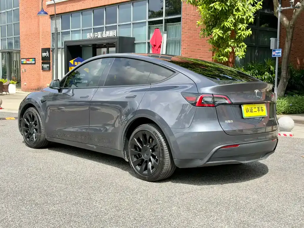 Tesla Model Y 2021 из CN, фото 3