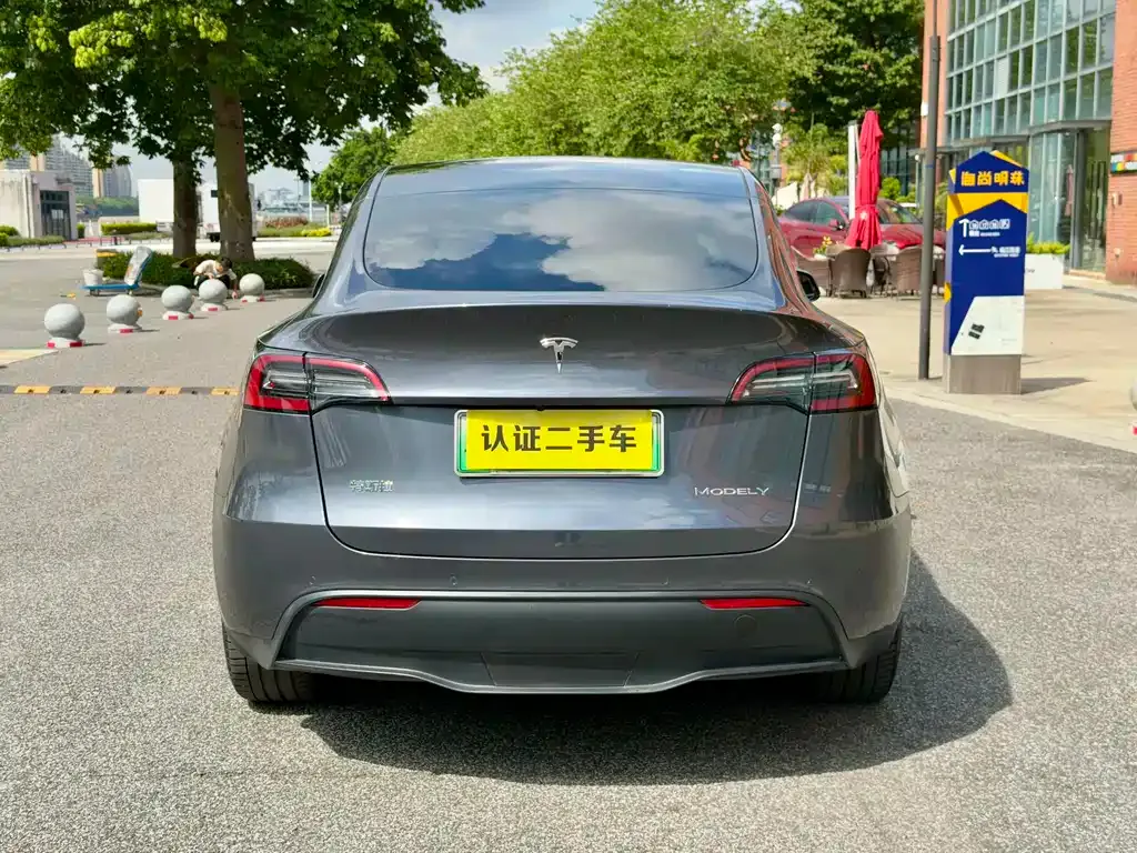 Tesla Model Y 2021 из CN, фото 4