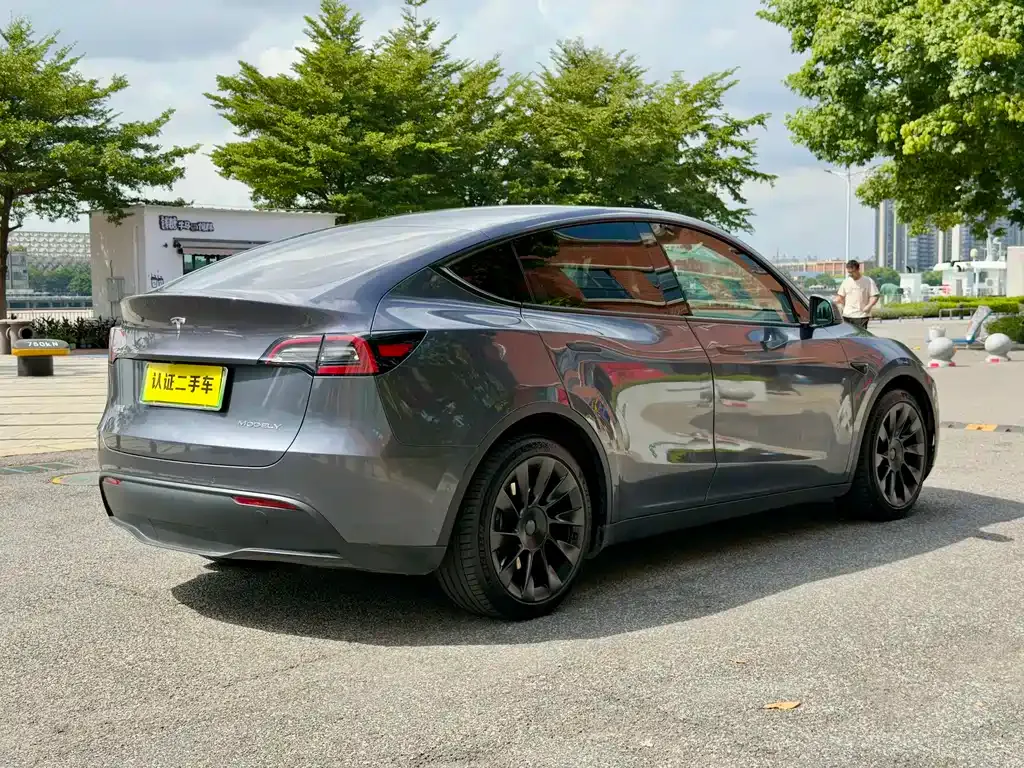 Tesla Model Y 2021 из CN, фото 5