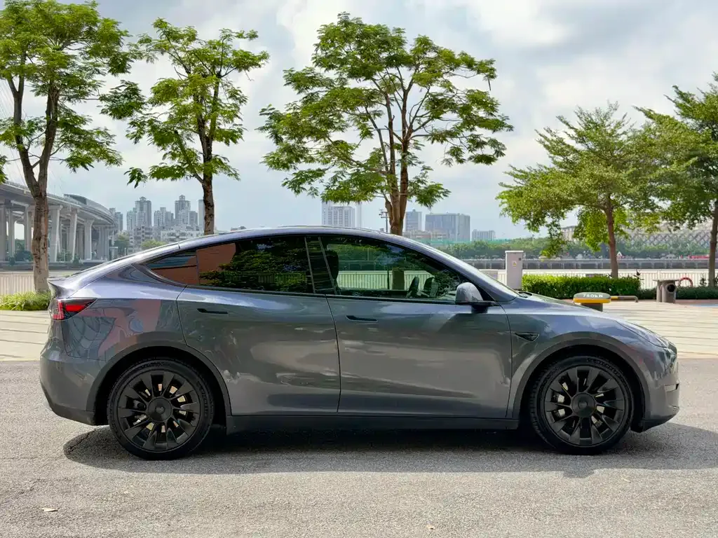 Tesla Model Y 2021 из CN, фото 6