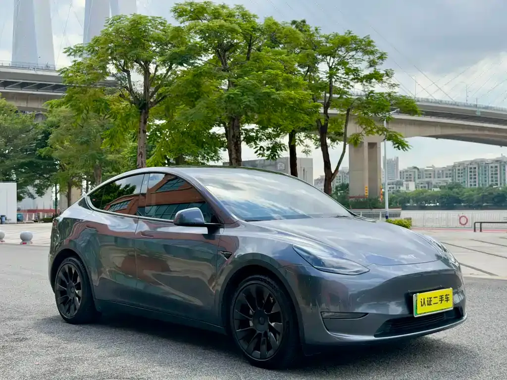 Tesla Model Y 2021 из CN, фото 7