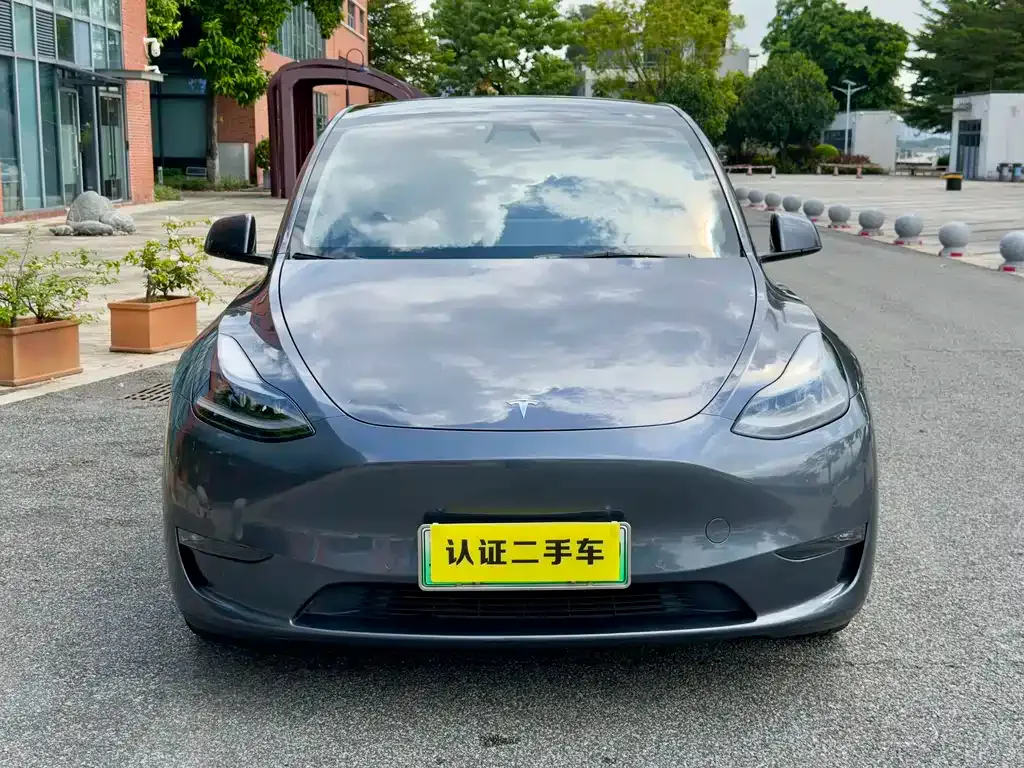 Tesla Model Y 2021 из CN, фото 8