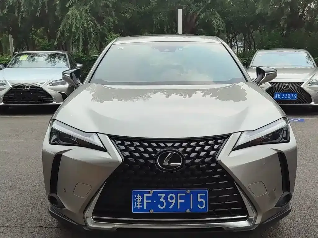 Lexus UX 2023 из CN, фото 2