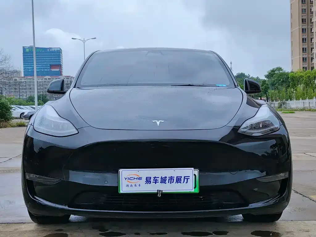 Tesla Model Y — фото 2