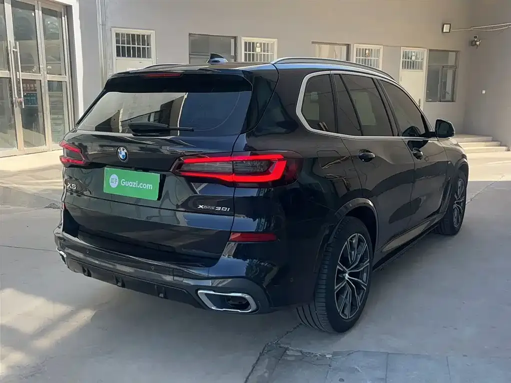 BMW X5 (Import) 2022 из CN, фото 5