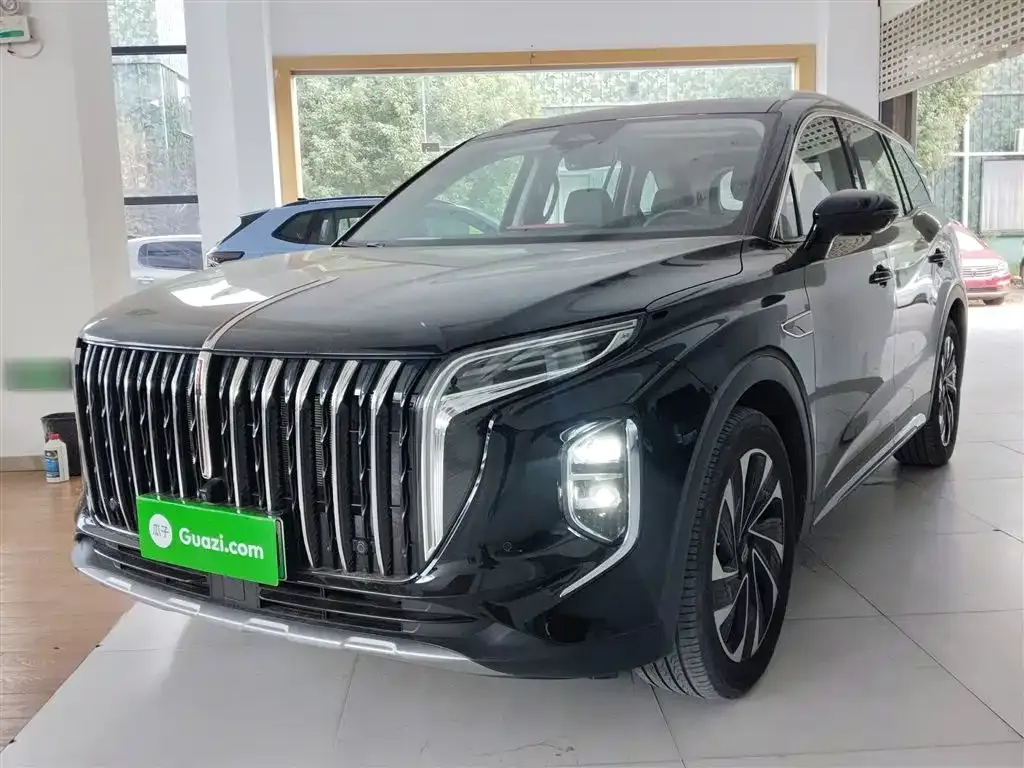 Hongqi HS7 PHEV 2024 из CN, фото 1