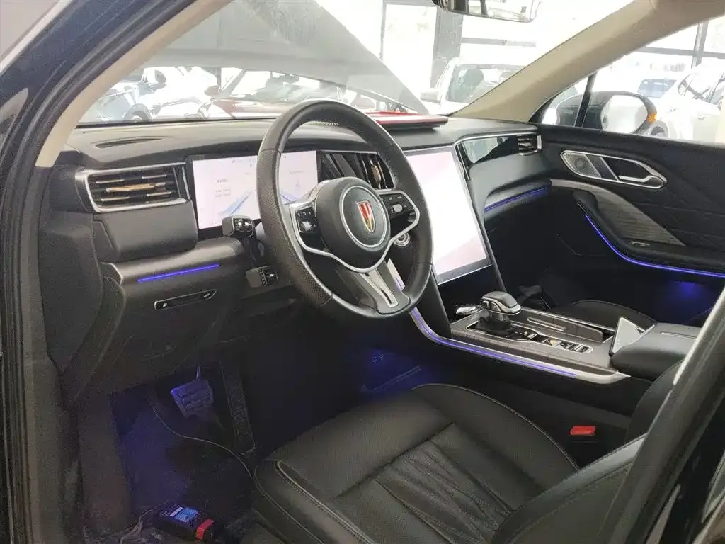 Hongqi HS7 PHEV 2024 из CN, фото 10