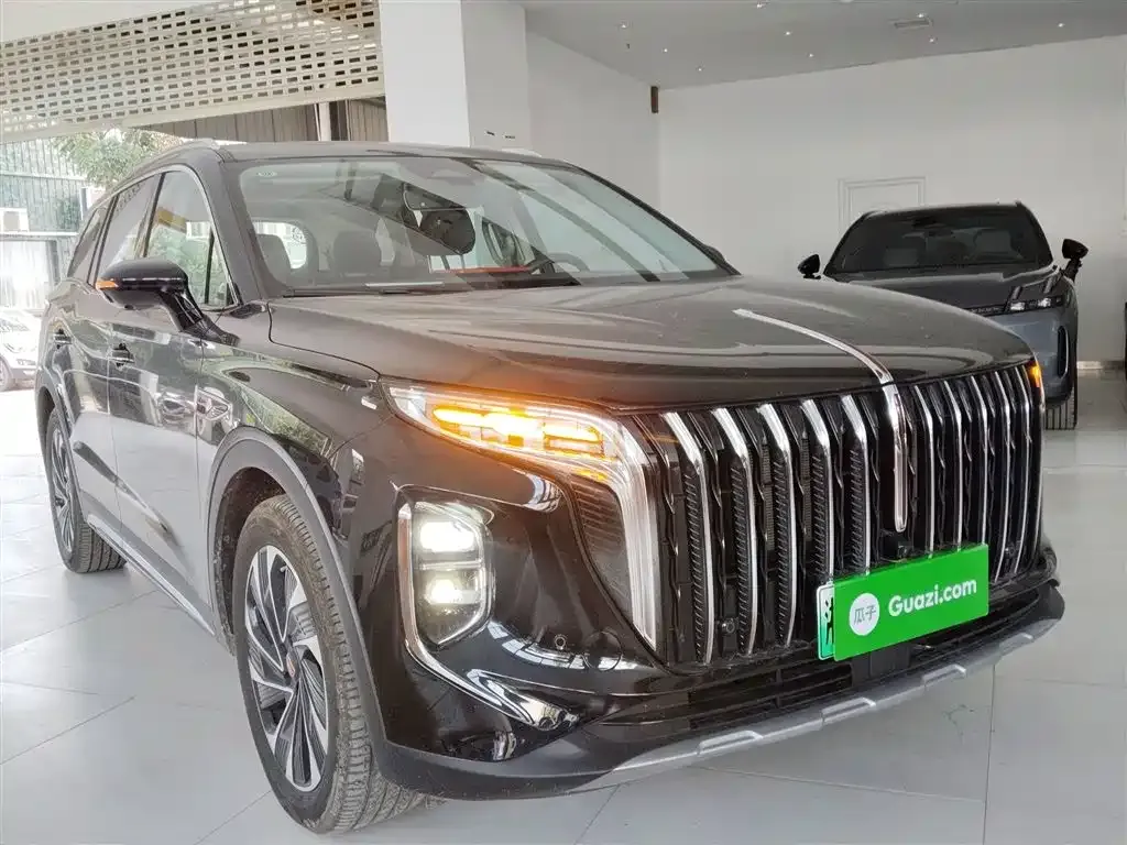 Hongqi HS7 PHEV 2024 из CN, фото 4