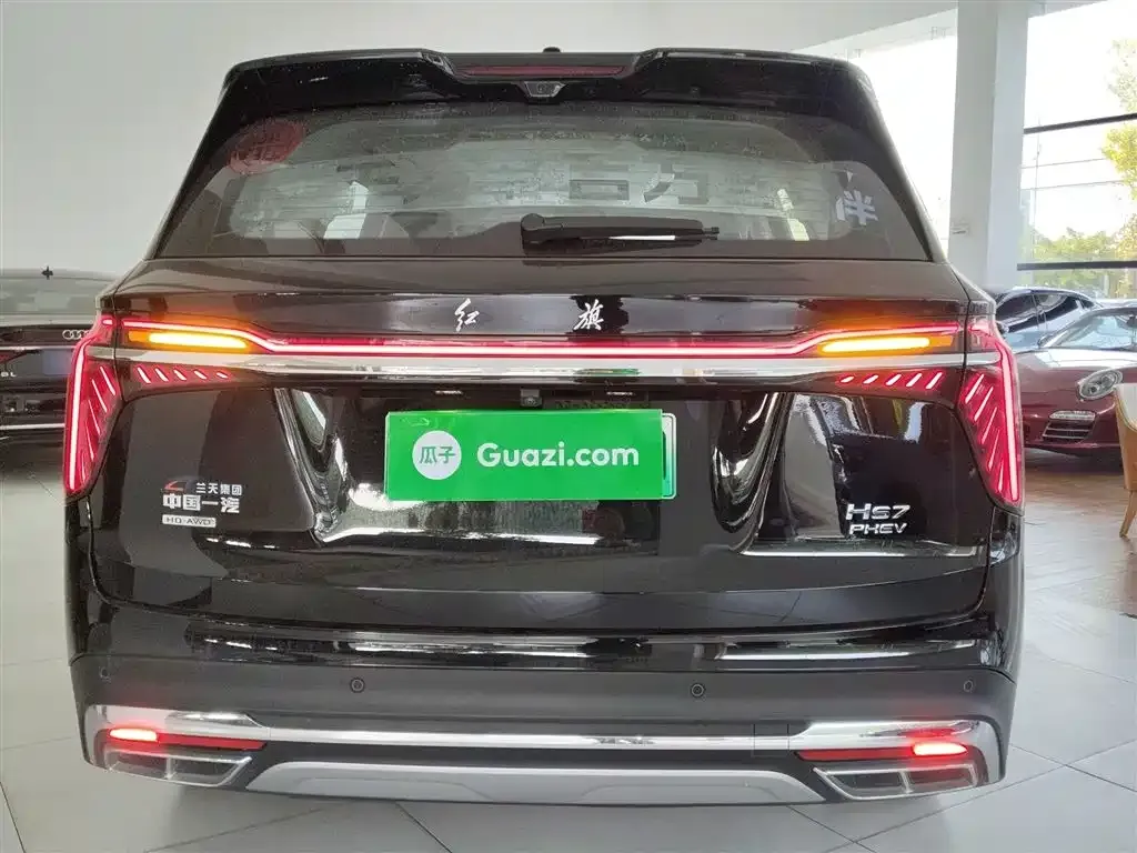 Hongqi HS7 PHEV 2024 из CN, фото 6