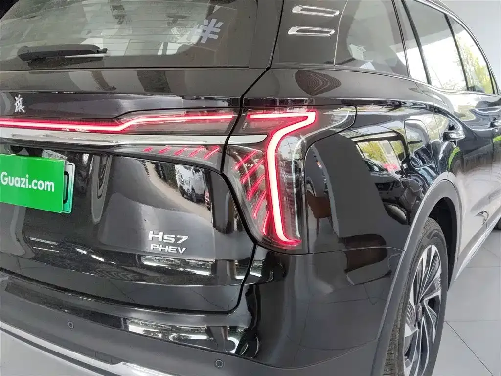 Hongqi HS7 PHEV 2024 из CN, фото 8