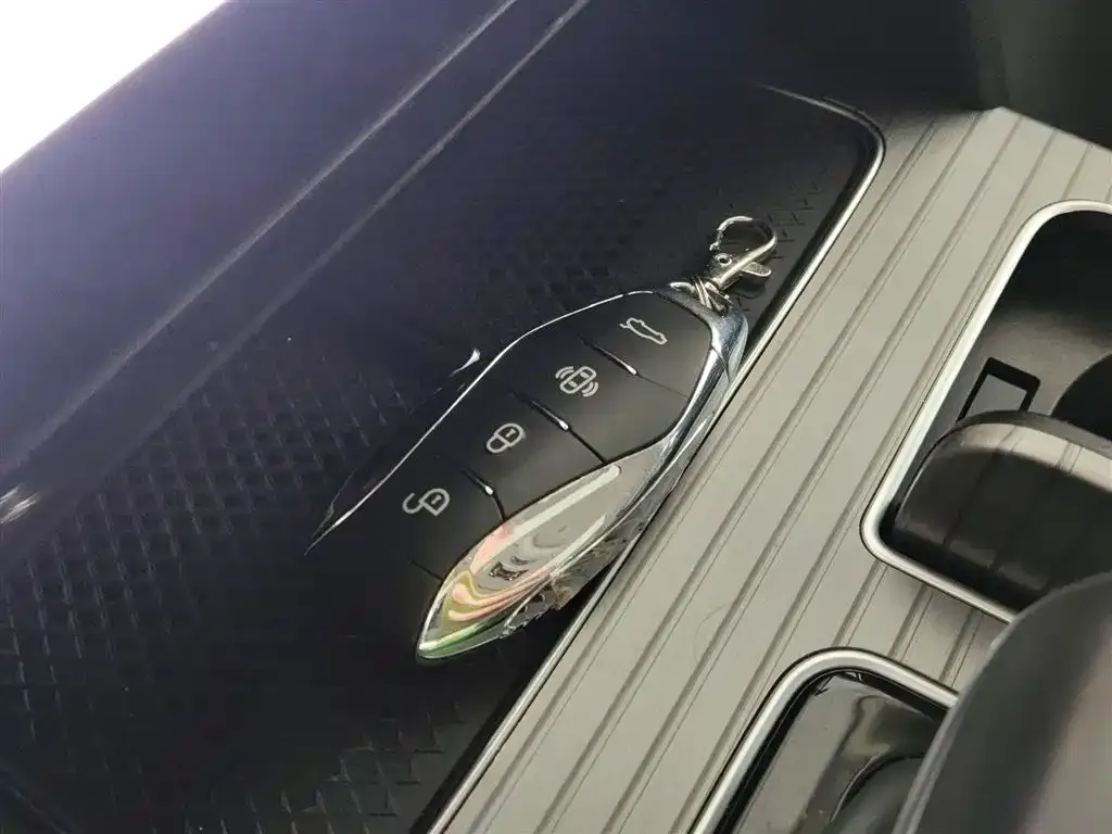 Hongqi HS7 PHEV 2024 из CN, фото 9