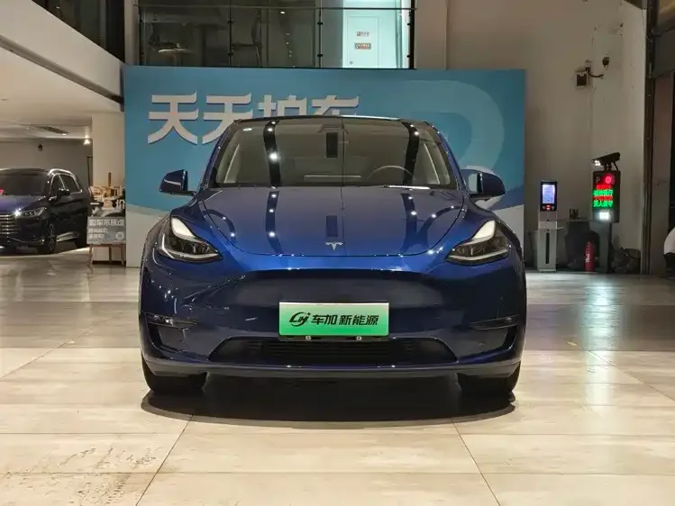 Tesla Model Y 2021 из CN, фото 2