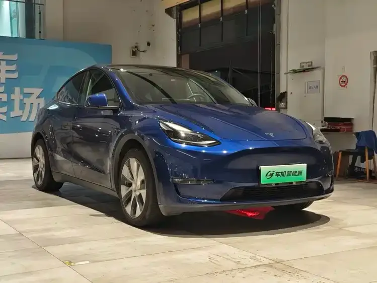 Tesla Model Y 2021 из CN, фото 3