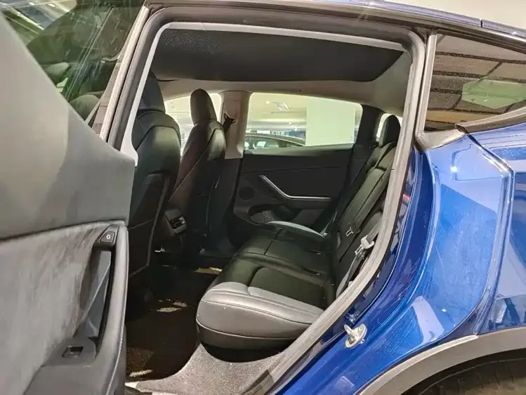 Tesla Model Y 2021 из CN, фото 5