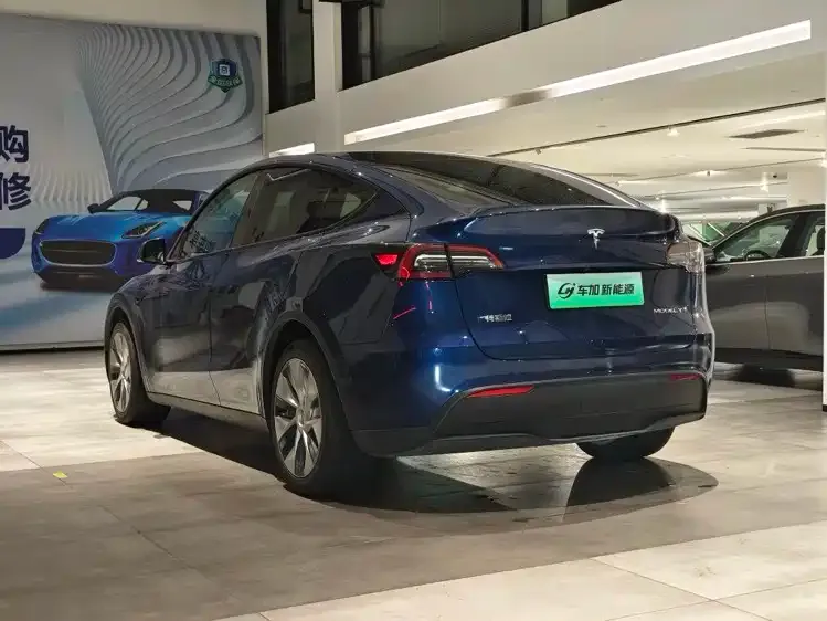 Tesla Model Y 2021 из CN, фото 7