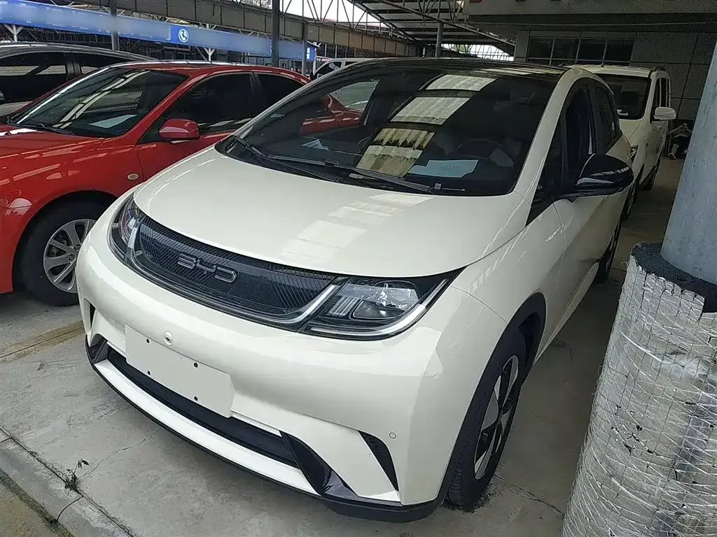 BYD Dolphin 2023 из CN, фото 1