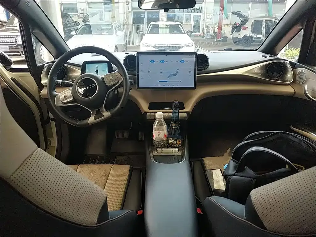 BYD Dolphin 2023 из CN, фото 10