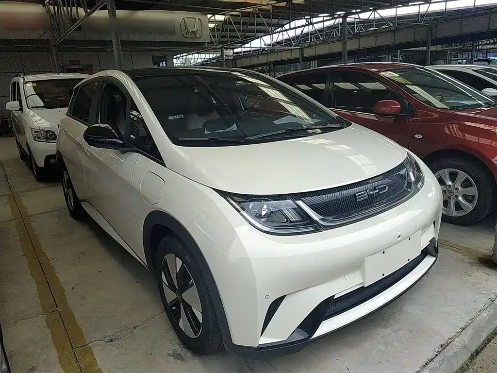 BYD Dolphin 2023 из CN, фото 4
