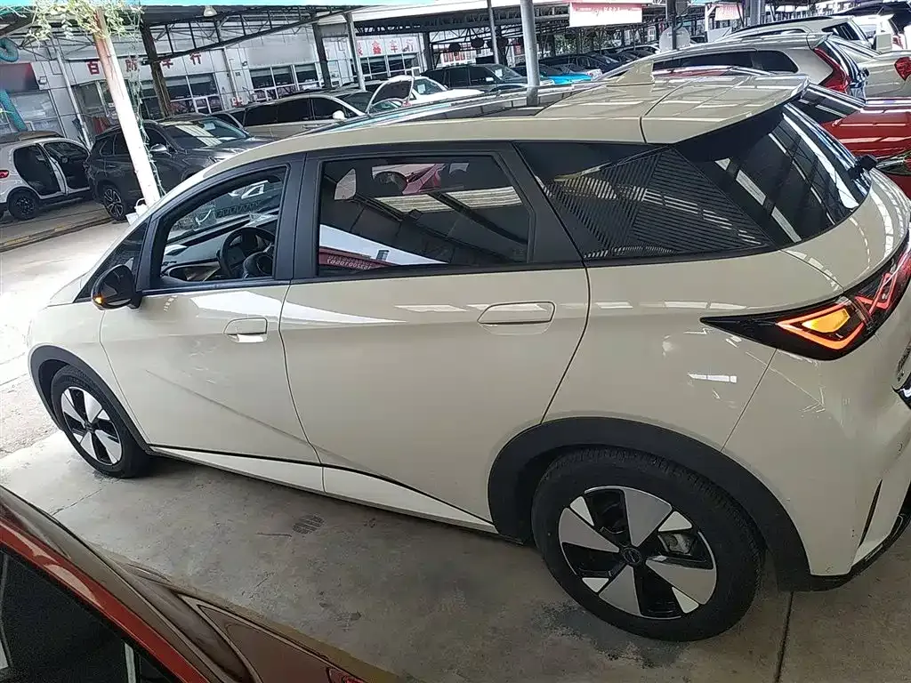 BYD Dolphin 2023 из CN, фото 5