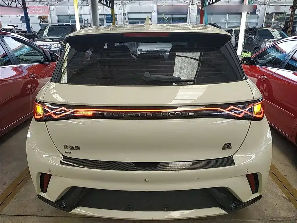 BYD Dolphin 2023 из CN, фото 6