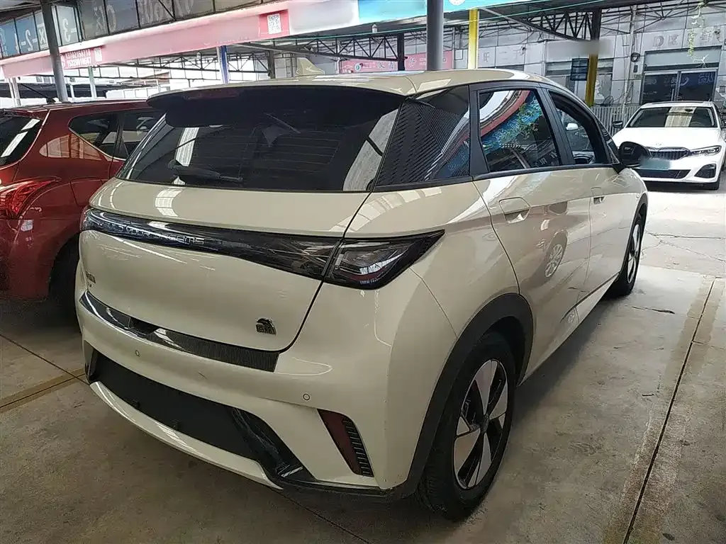 BYD Dolphin 2023 из CN, фото 7